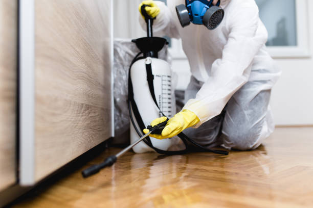 Best Residential Pest Control  in Cheyenne, WY