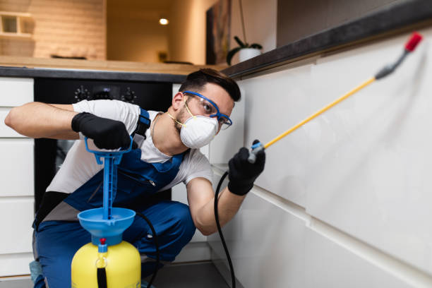 Best Pest Removal Services  in Cheyenne, WY