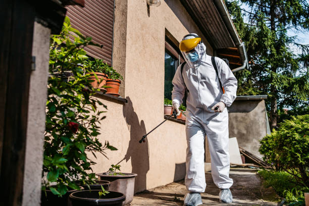 Insect Control in Cheyenne, WY