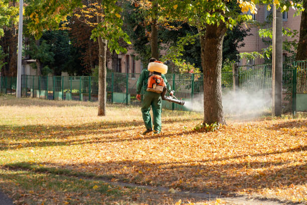 Best Termite Control Services  in Cheyenne, WY