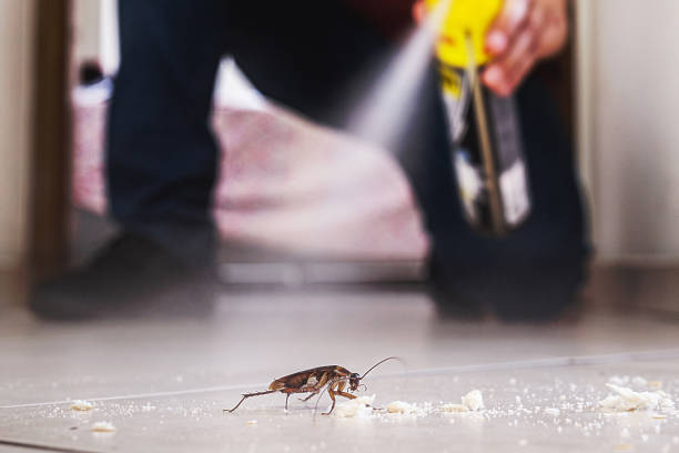 Best Best Pest Control Companies  in Cheyenne, WY