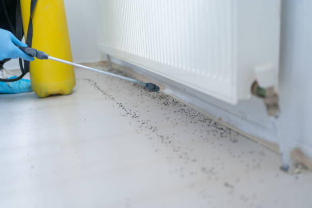 Best Wildlife Control Services  in Cheyenne, WY