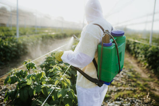 Best Pest Control Near Me  in Cheyenne, WY